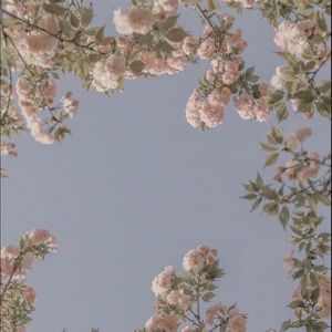 Meet your Posher, Savannah